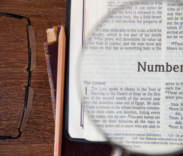 Get the Most Out of the Bible’s Boring Parts 