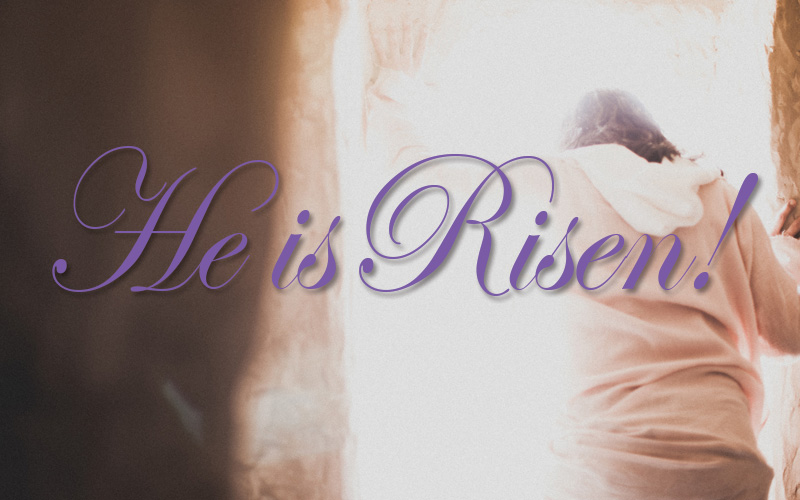 Have you read the Easter story yet? Now’s your chance.