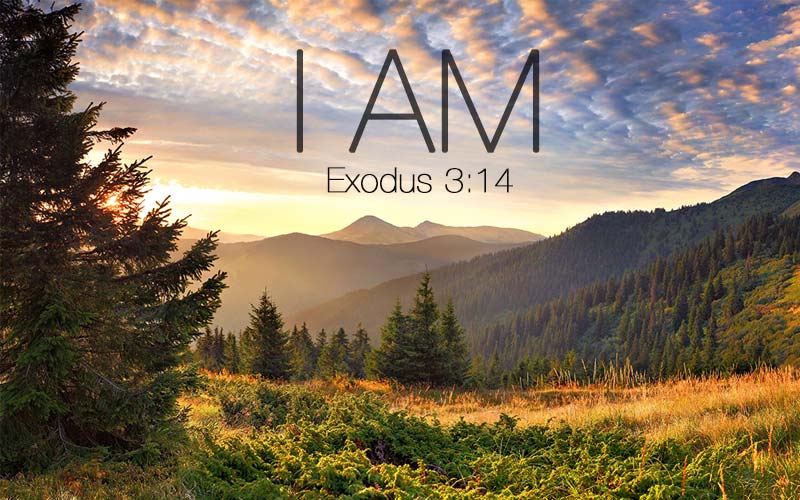 8-ways-jesus-reveals-his-identity-to-us-blog-bible