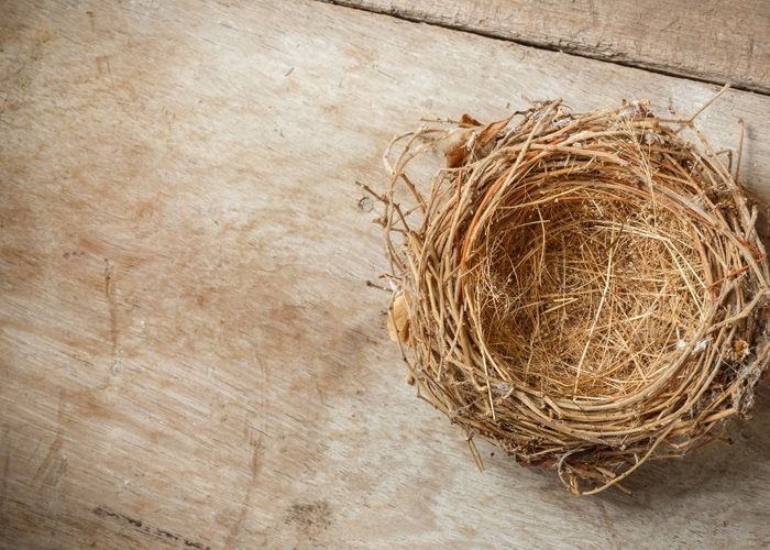 Dealing with an Empty Nest? 5 Verses to Ease the Loneliness